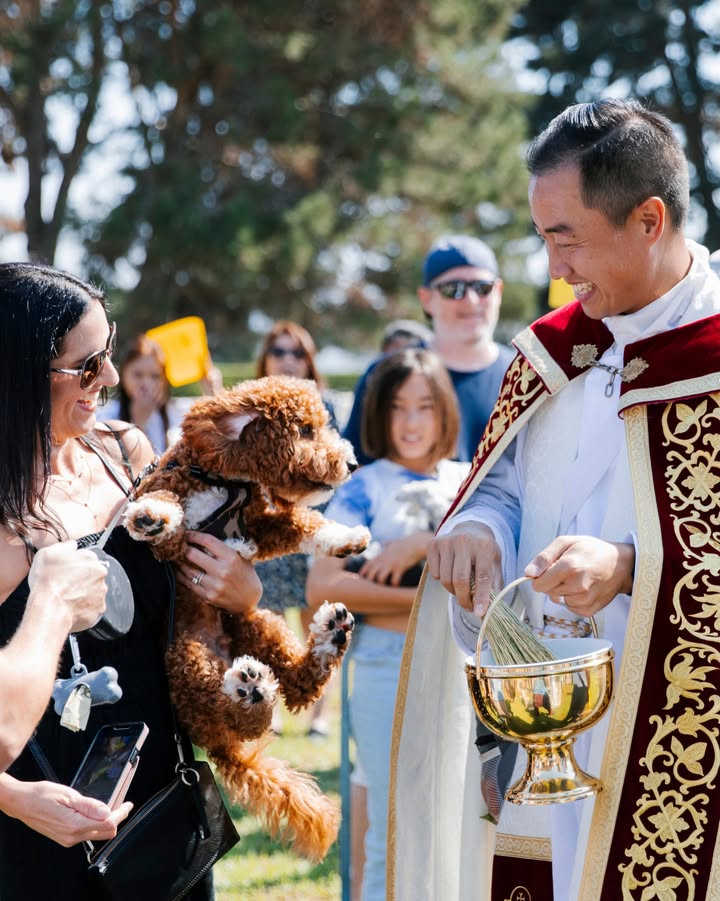 Bring your pets to church with you on Sunday, October 4 at 11:30 AM! 🐾

Dogs, ca...