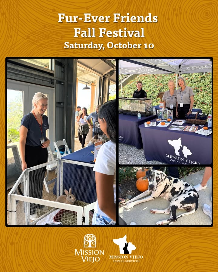 🎃🐾 Looking for a fun family day out? We’ve got you covered!

Join us on October...