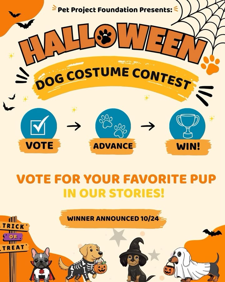🎃🐾 Welcome to the Dana Point/San Clemente Animal Shelter Halloween Costume Conte...