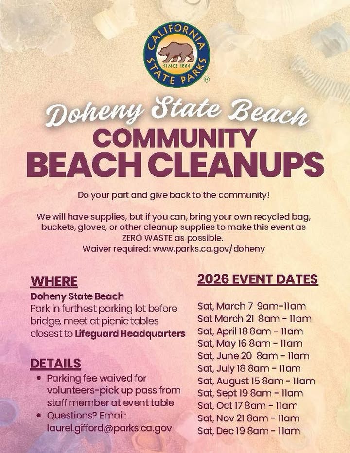 Help keep Doheny State Beach beautiful 🌊☀️

Only 3 beach cleanups left this year...