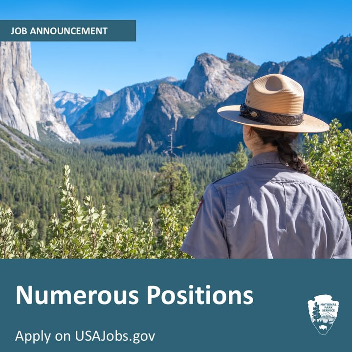 Looking for an unforgettable summer adventure? Join the team at Yosemite...