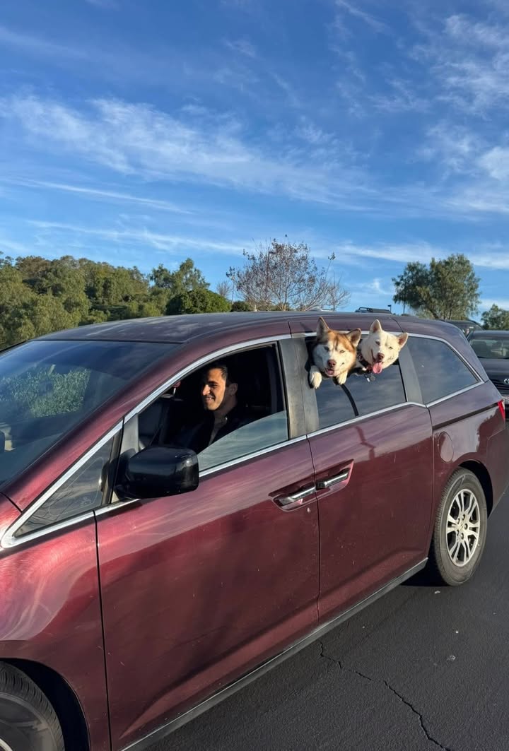 The Mission Viejo Animal Services Center on Saturday, October 24 will host a...