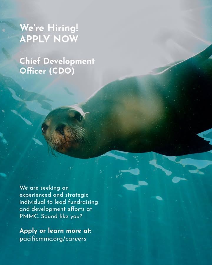 ⭐ We are #hiring! PMMC is seeking an experienced and strategic individual to l...