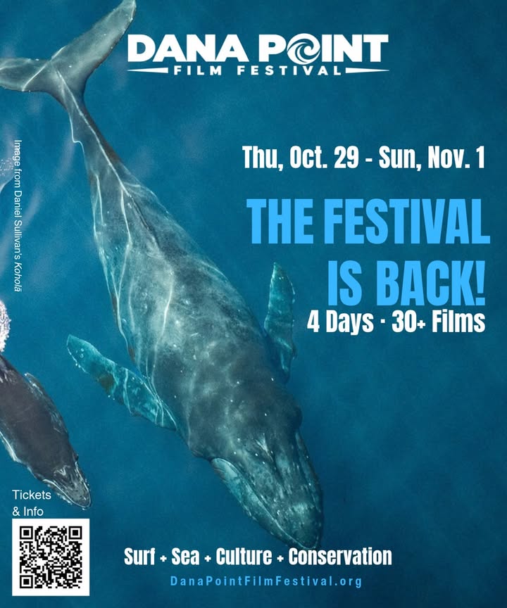 🎬🌊 The Dana Point Film Festival is BACK!

Get ready for four days of incredible...