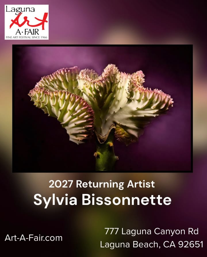 Photographer Sylvia Bissonnette will be returning to the 2027 Laguna Art-A-Fair...