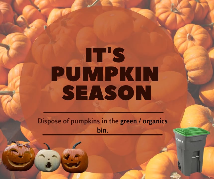 🎃 It's Pumpkin Season! 🍂

When the Halloween fun is over, give your pumpkins a g...